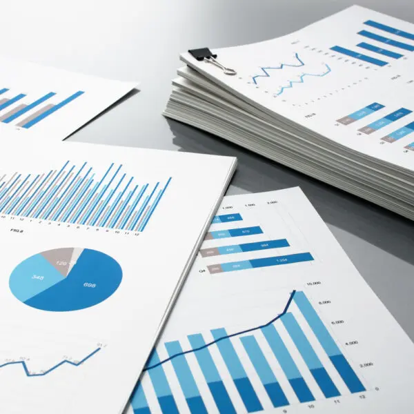 Что Вы получите: